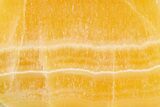 Polished, Orange, Honeycomb Calcite Slab - Utah #264224-1